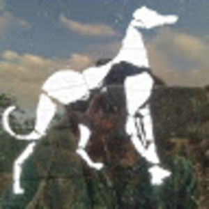 Meet your Posher, Bobbie